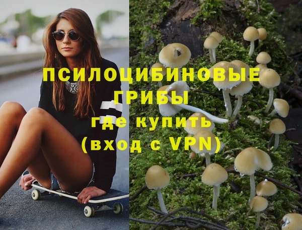 Альфа ПВП Беломорск