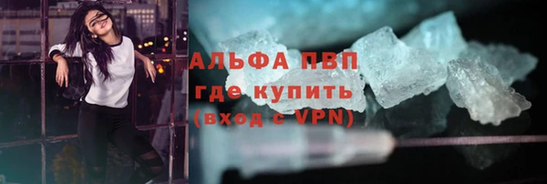 сатива Белокуриха