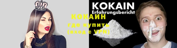 сатива Белокуриха