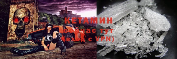 сатива Белокуриха