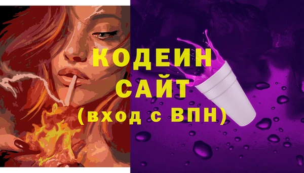 сатива Белокуриха