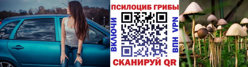 купить наркотик  Великий Устюг  Псилоцибиновые грибы Cubensis 